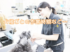 時間を意識したトリミング♪